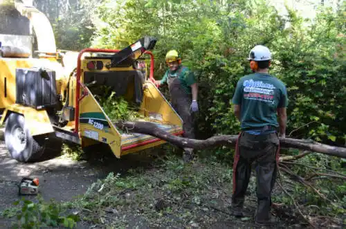 tree services Lawtey